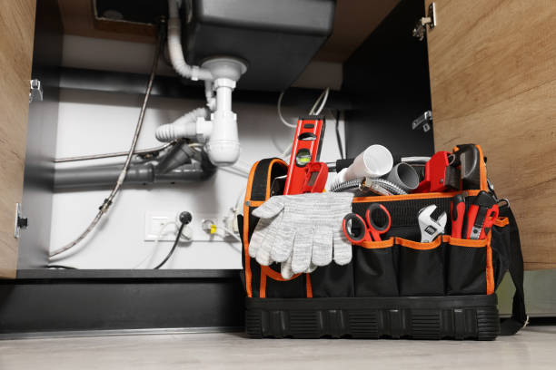Best Local Plumber Services  in Bridgeview, IL